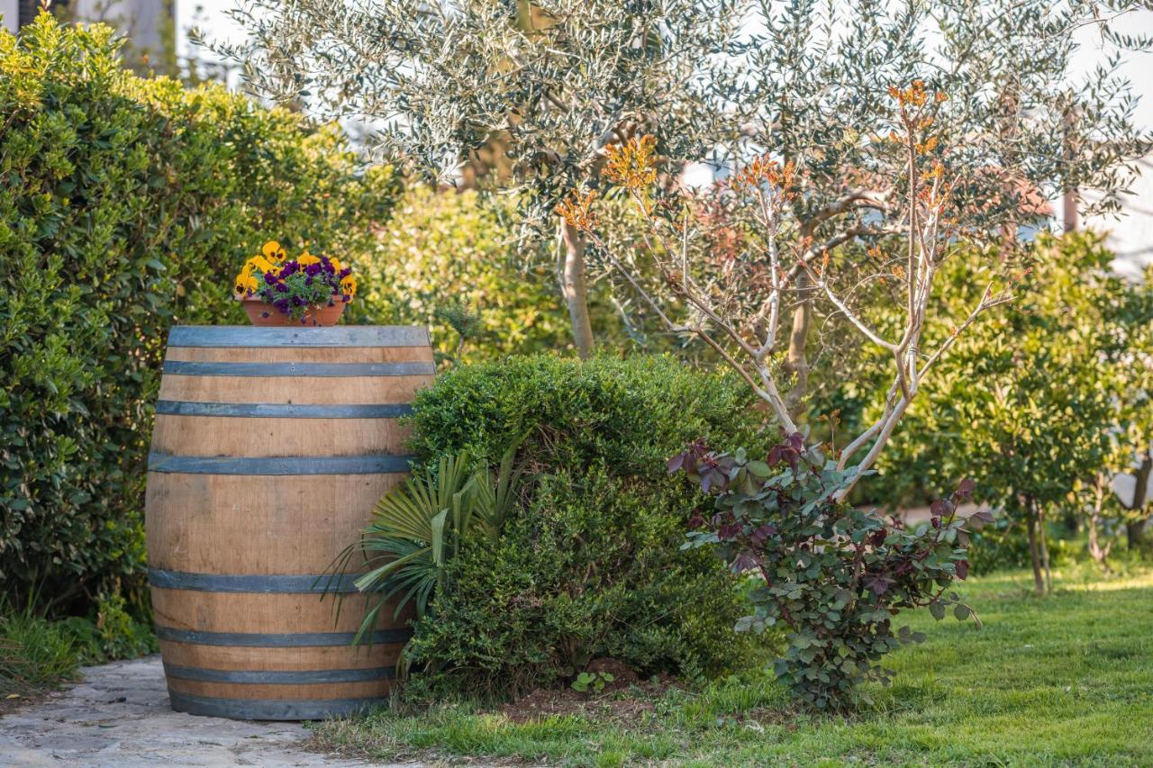 PUY Wine Garden Holiday Home מראה חיצוני תמונה